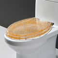 Glitter Oval Toilet Seat - Slow Close, Transparent Resin with Gold & Silver Foil, Stylish Bathroom Accessory for Comfort & Elegance, Universal Fit for All Toilets