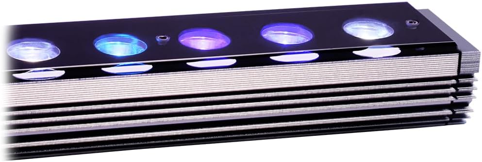 Orphek OR4 iCon LED Bar (Reef Day, 60)