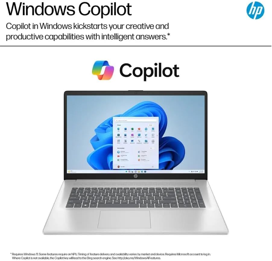 HP 17.3' FHD Display, Free Microsoft Office 2024 Lifetime License, Copilot AI Chat, 8GB LPDDR5 RAM, 512GB SSD, AMD Ryzen 5 Processor, Webcam, Numeric Keypad, Long Battery Life, Windows 11 Pro,Silver