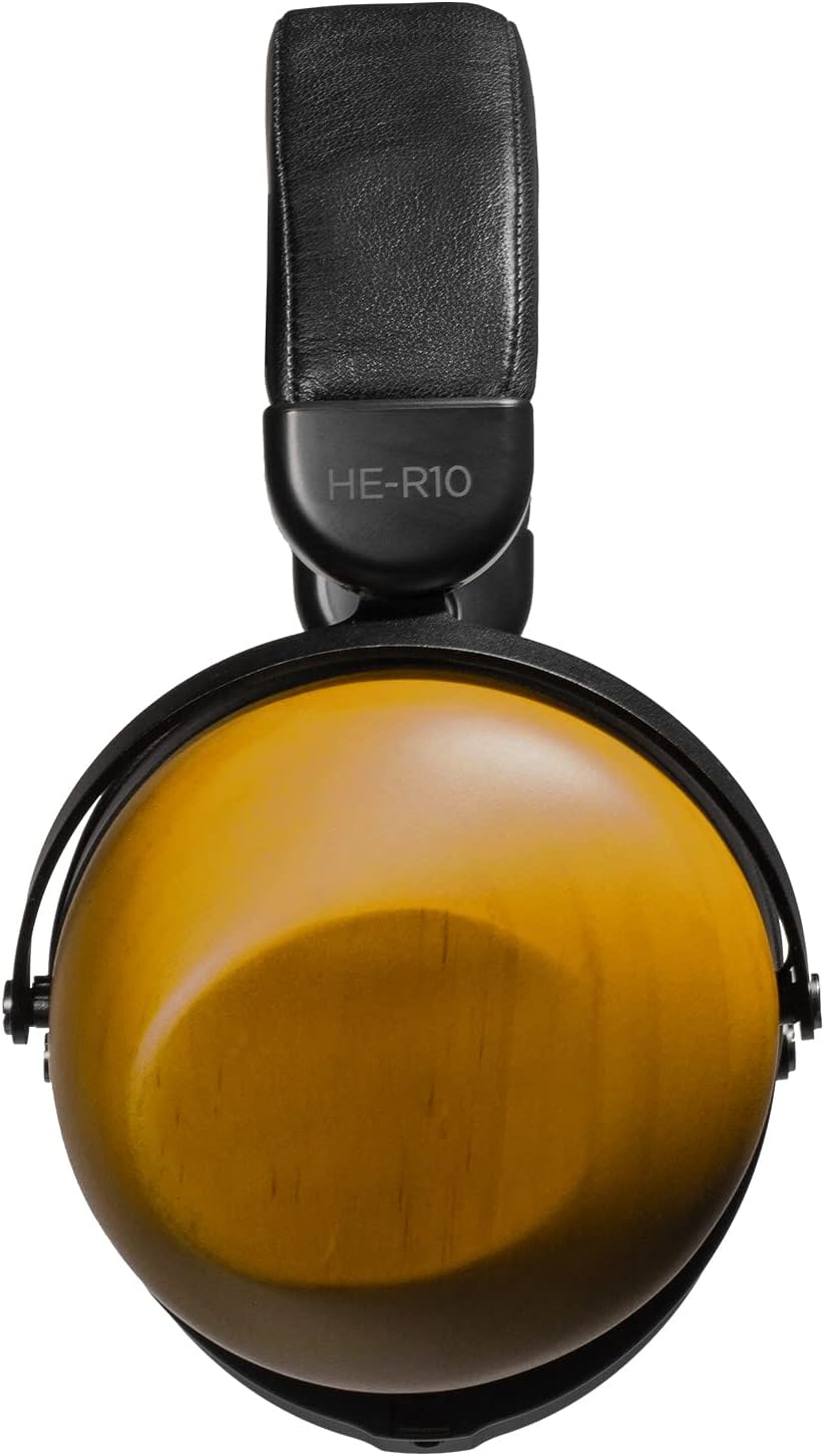HIFIMAN HE-R10D Dynamic Topology Driver Close-Back Over-Ear Headphones with Bluemini R2R for Home, Studio and Recording, Easily Switch Between Wired and Wireless, Bluetooth Headphones