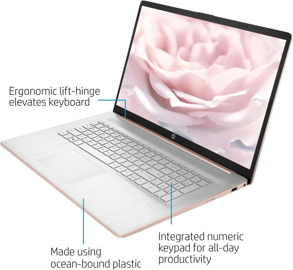 HP 17.3' HD Business Laptop Computer, AMD Ryzen 3 5300U Quad-core Processor 2.6GHz (Up to 3.8GHz), 16GB RAM, 1TB SSD, Backlit Keyboard, USB-C, Wi-Fi, Bluetooth, Touchscreen, Webcam, Rose Gold, Win 11
