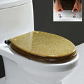 Glitter Resin Toilet Seat, Glitter Toilet Seat Soft Close with Quick Release, Simple Top/Bottom Fixing, Oval Environmentally Friendly Resin Toilet Seat,Silver(Gold)