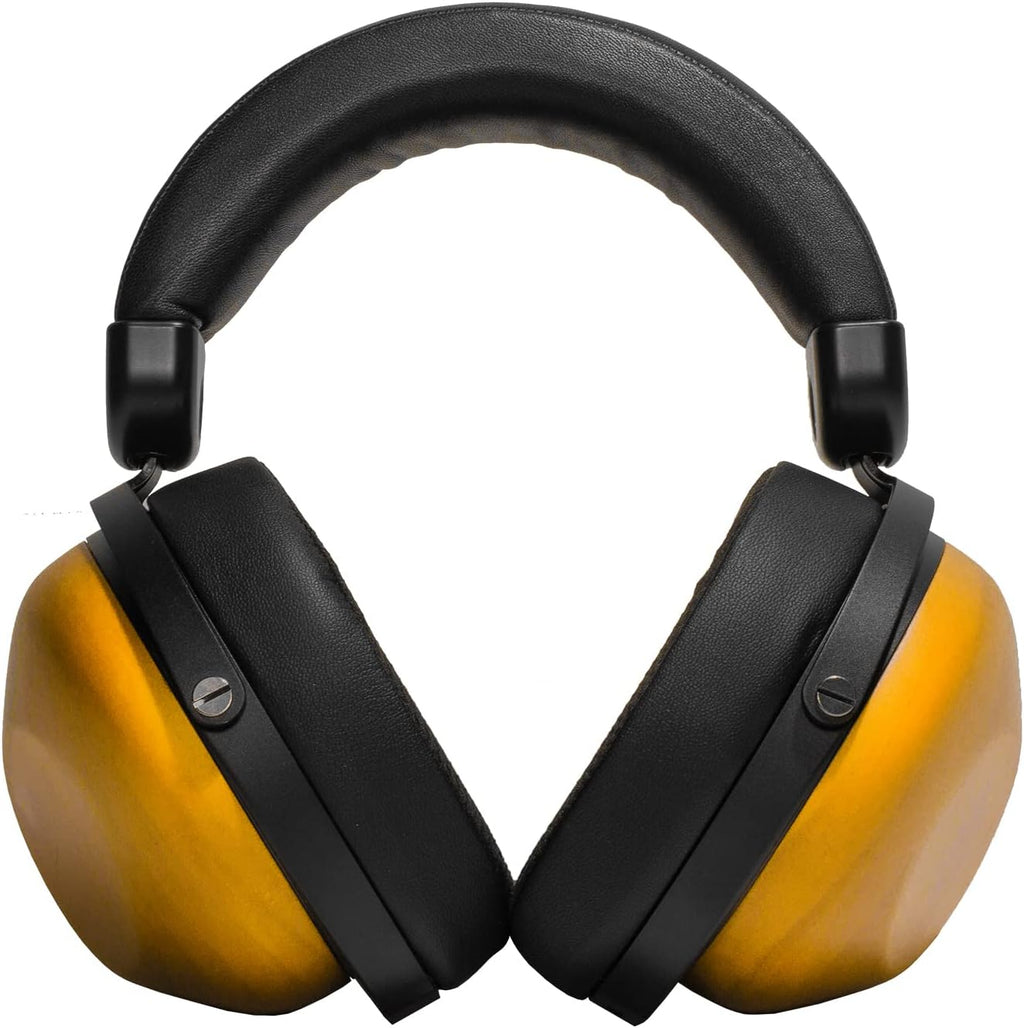 HIFIMAN HE-R10D Dynamic Topology Driver Close-Back Over-Ear Headphones with Bluemini R2R for Home, Studio and Recording, Easily Switch Between Wired and Wireless, Bluetooth Headphones