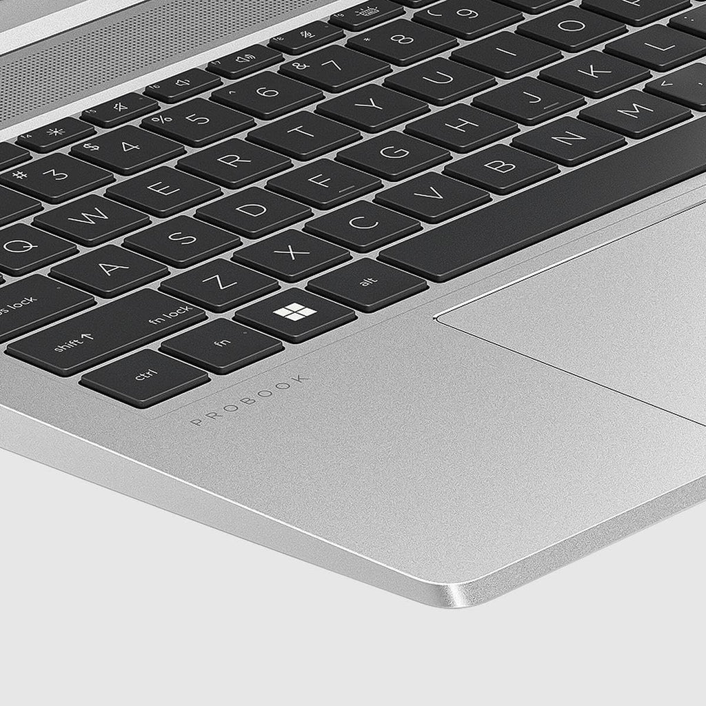 HP ProBook 455 G10 15.6' Notebook - Full HD - 1920 x 1080 - AMD Ryzen 7 7730U Octa-core (8 Core) - 32 GB Total RAM - 1 TB SSD - Pike Silver Plastic