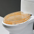Resin Toilet Seat, Toilet Seats For Standard Toilets, With Slow Close Stainless Steel Hinges, Top Fixing Toilet Seat/Silver,Gold,Gold