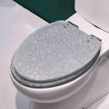 Elongated Resin Toilet Seat with Soft Close, Quick Release, Glitter Cover & Adjustable Hinges – Heavy Duty Silver/Gold