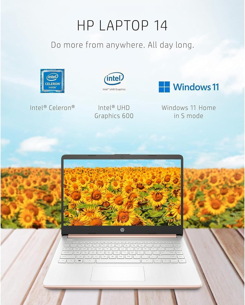 HP 14 inch Touchscreen Laptop - Intel Celeron Dual Core Processor - 16GB RAM, 64GB Storage - Pale Rose Gold - Fast Charging - USB Type C - 10 Hour Battery - 5Gbs USB - Windows 11