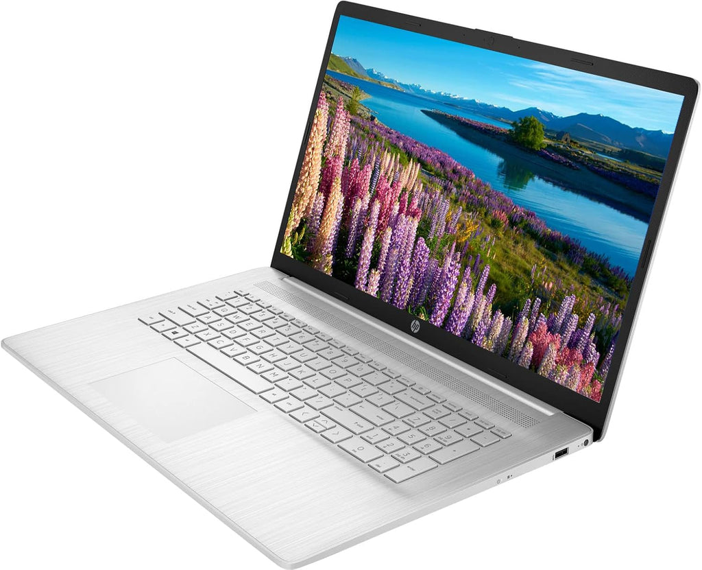 HP 17 Laptop, 17.3' HD+ Touchscreen Display, AMD Athlon Gold 3150U Processor, 12GB DDR4 RAM, 512GB PCIe NVMe SSD, Type-C, HDMI, Wi-Fi, Bluetooth, Windows 11 Home, Silver