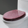 Sparkly Resin Elongated Toilet Seat, Slow Close, Stainless Steel Hinges, Easy Install, Gold(Pink)