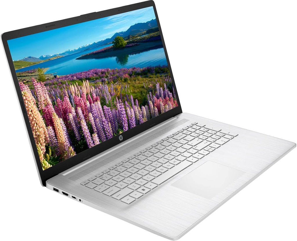 HP 17 Laptop, 17.3' HD+ Touchscreen Display, AMD Athlon Gold 3150U Processor, 12GB DDR4 RAM, 512GB PCIe NVMe SSD, Type-C, HDMI, Wi-Fi, Bluetooth, Windows 11 Home, Silver