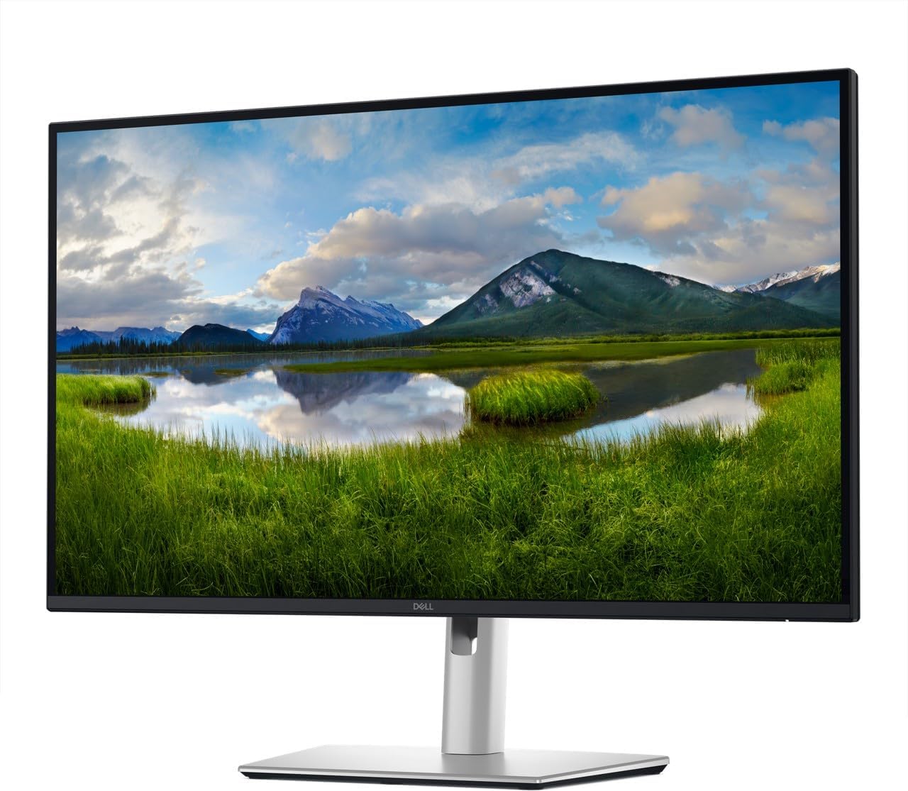 Dell P2725D 68.6 cm (27 inches) DELL-P2725D