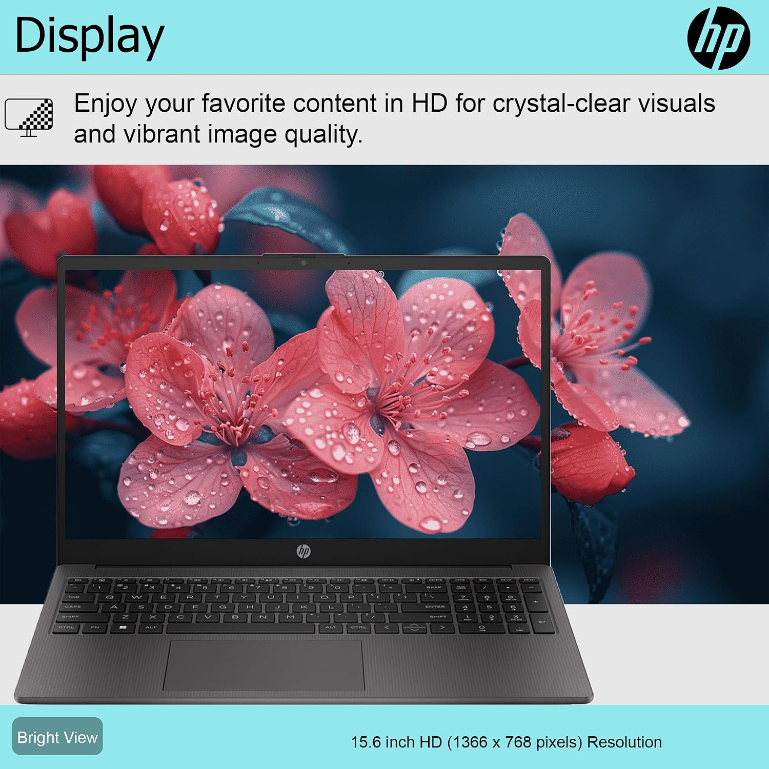 HP 15.6 inch Laptop with Free Microsoft 365| 16GB RAM, 128GB SSD with 128GB External Drive| Intel Quad-Core Processor| HDMI| USB-C| Intel UHD Graphics| LED Backlight| Windows 11 H|Black