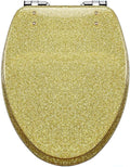 Elongated Resin Toilet Seat with Soft Close, Easy Clean & 360° Adjustable Hinges, Quick Release Heavy Duty Glitter Cover - Silver/Gold